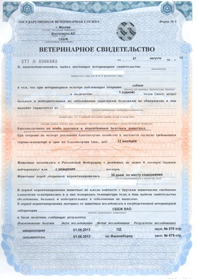 ветсправка для собаки